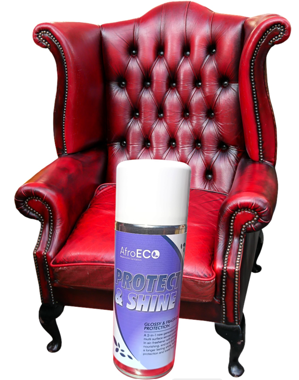 AfroECO Protect & Shine Aerosol 400ml - Image 3